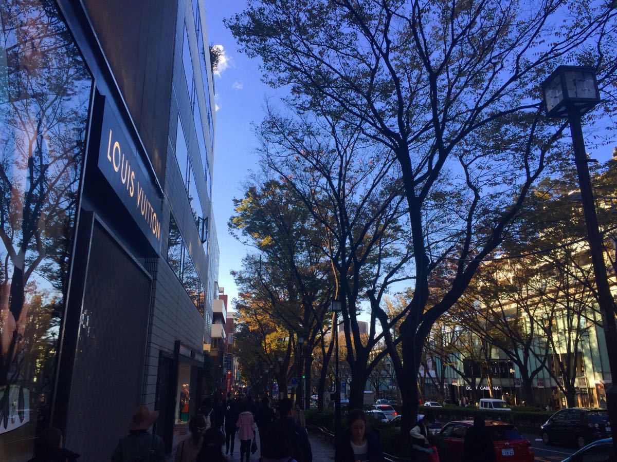 携程攻略 东京表参道景点 正对明治神宫前的一条路 是一条购物街 与其说购物街不如说奢侈品店