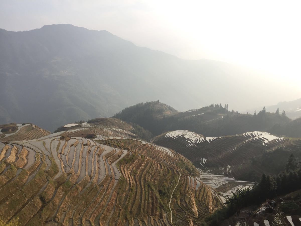 2019七星伴月_旅游攻略_门票_地址_游记点评,龙脊梯田旅游景点推荐