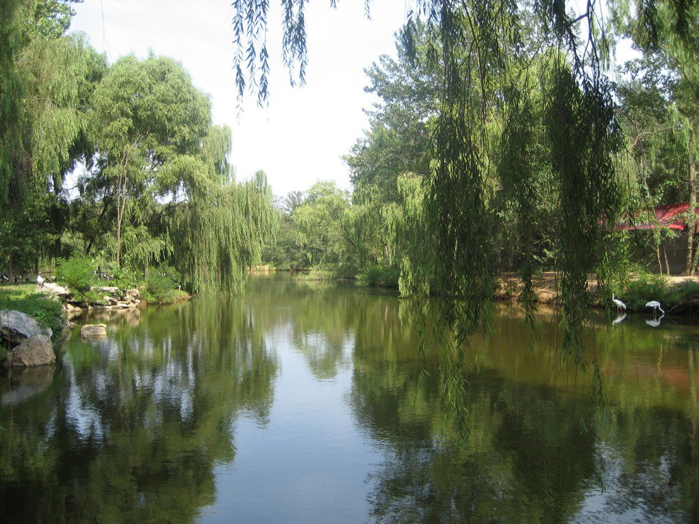 集贤安邦河国家湿地公园好玩吗,集贤安邦河国家湿地公园景点怎么样