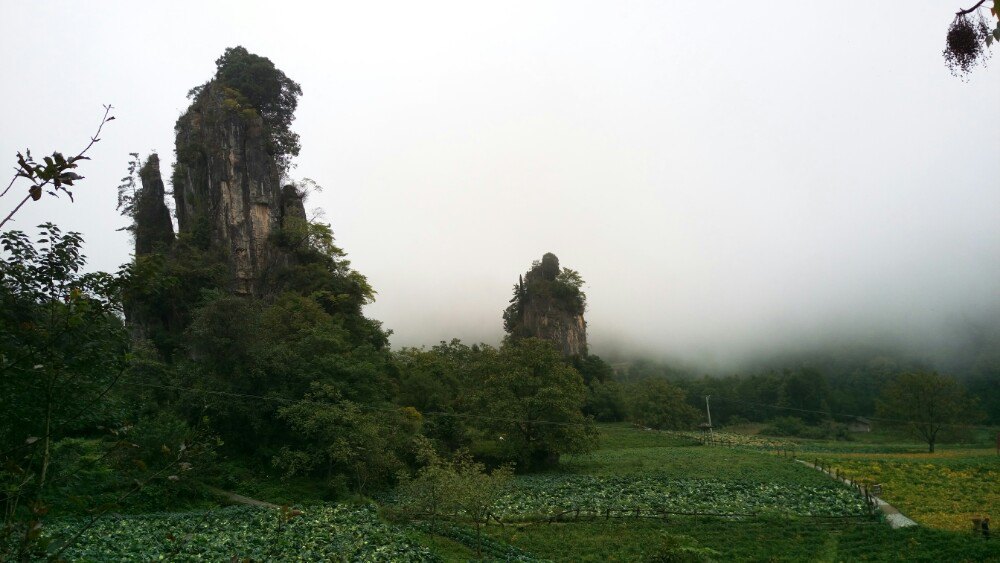 2020曾家山景區-旅遊攻略-門票-地址-問答-遊記點評,廣元旅遊旅遊景點