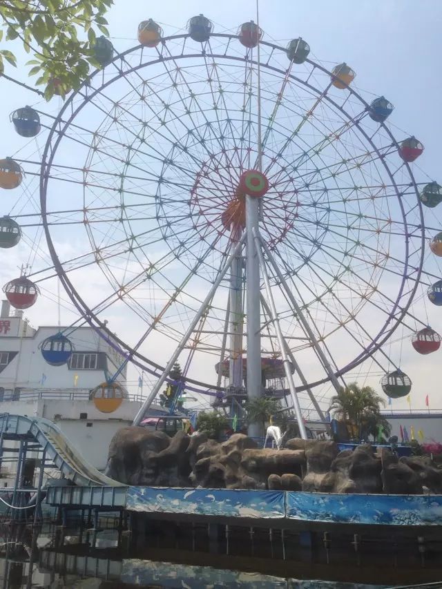 蛮不错的,丛林依水,环境很幽静,很适合漫步,并且还有摩天轮可以观赏