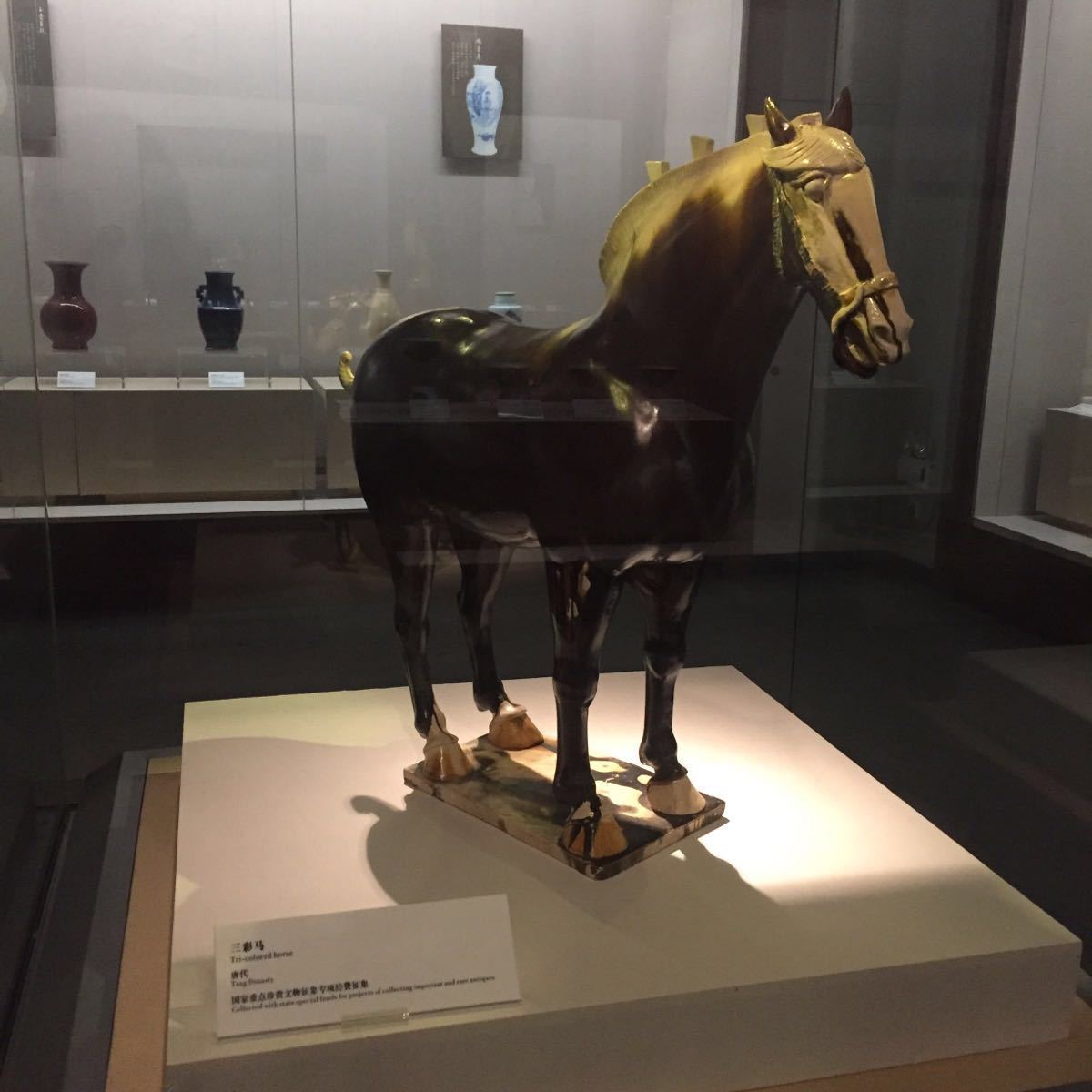 海南省博物馆