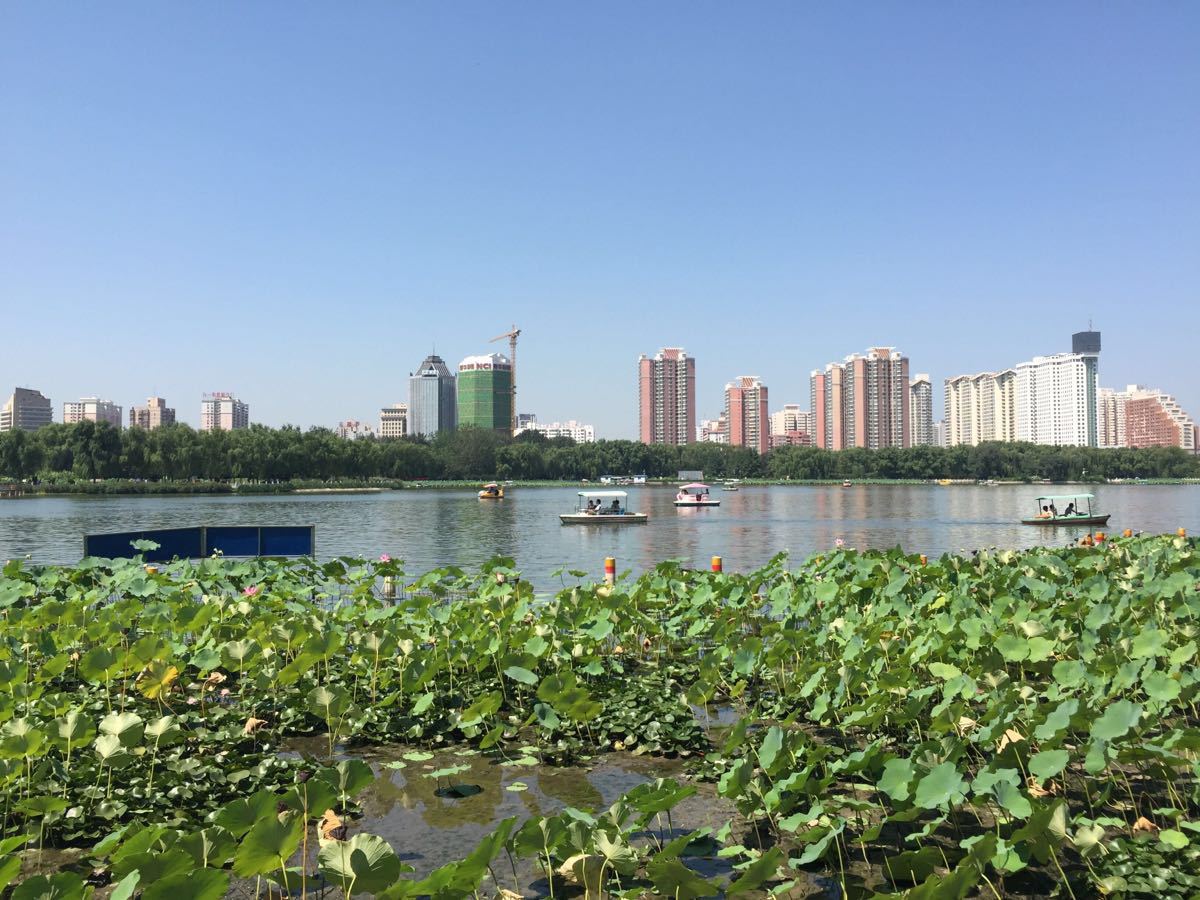 2019蓮花池公園_旅遊攻略_門票_地址_遊記點評,北京旅遊景點推薦 - 去