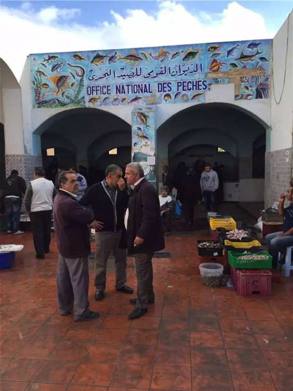 杰尔巴岛 Djerba —欧洲人的梦幻之岛(突尼斯自驾游)