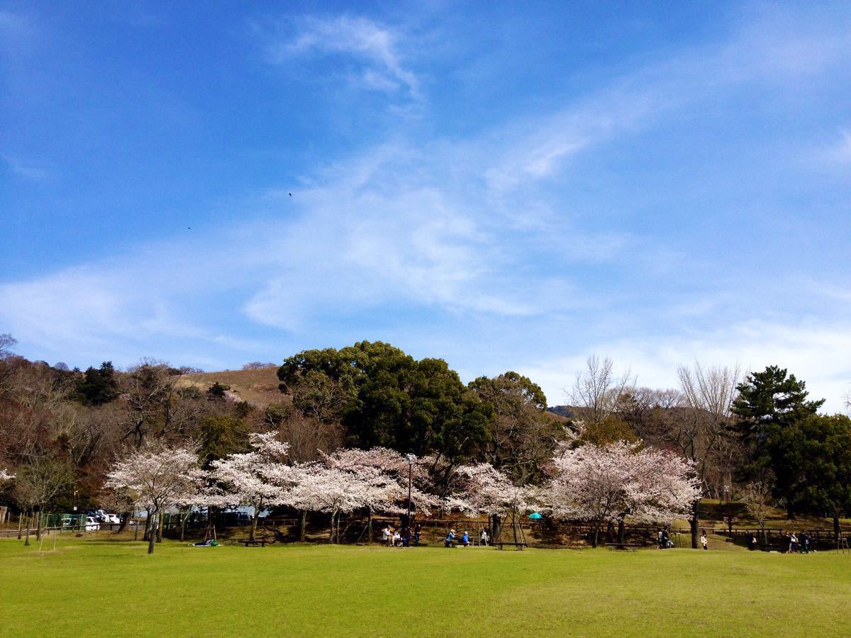 奈良公园在哪(奈良公园开放时间)