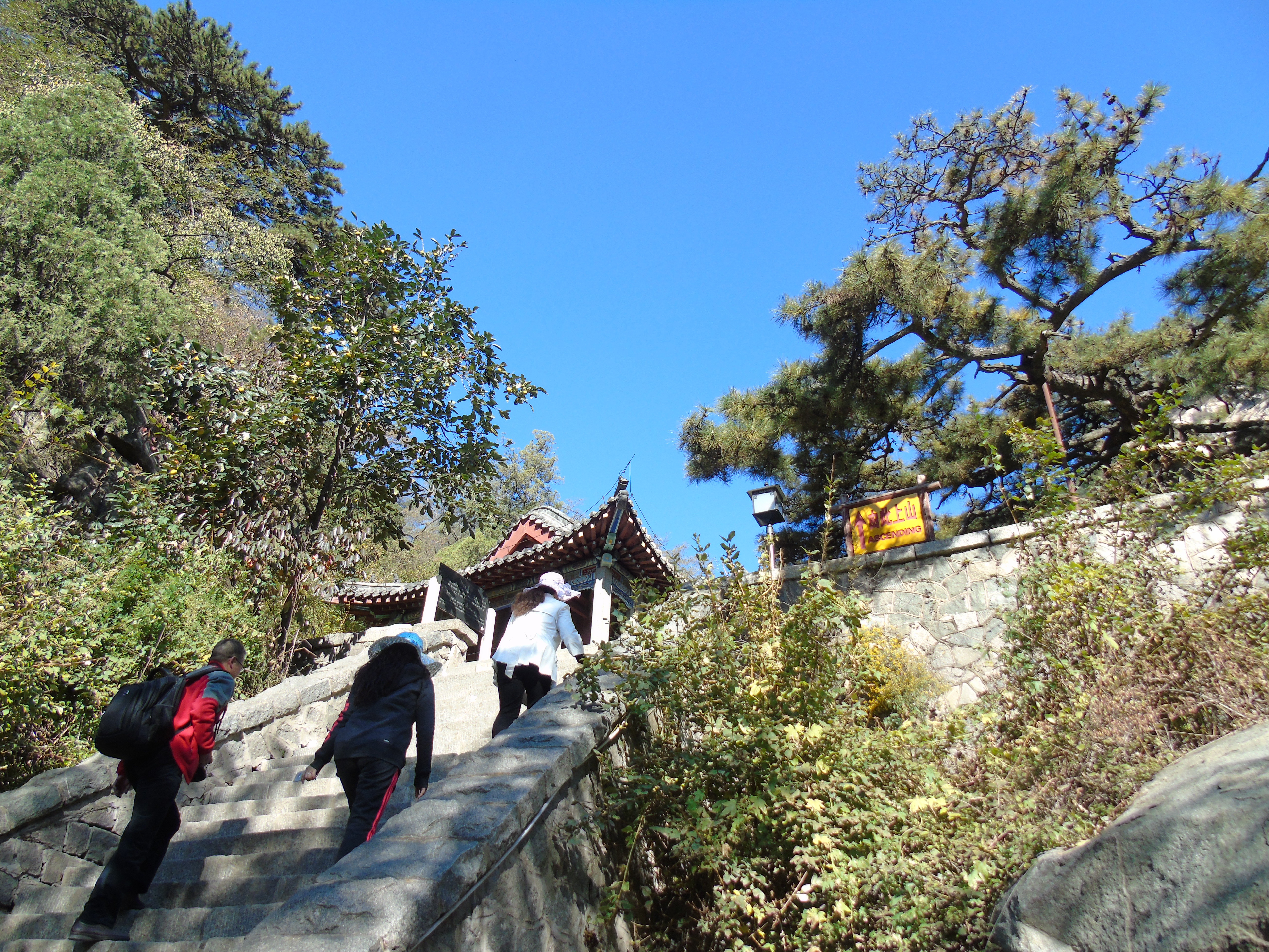 為了散文《泰山極頂》-而登泰山 - 泰山遊記攻略【攜程攻略】