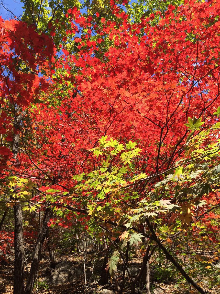 關門山國家森林公園