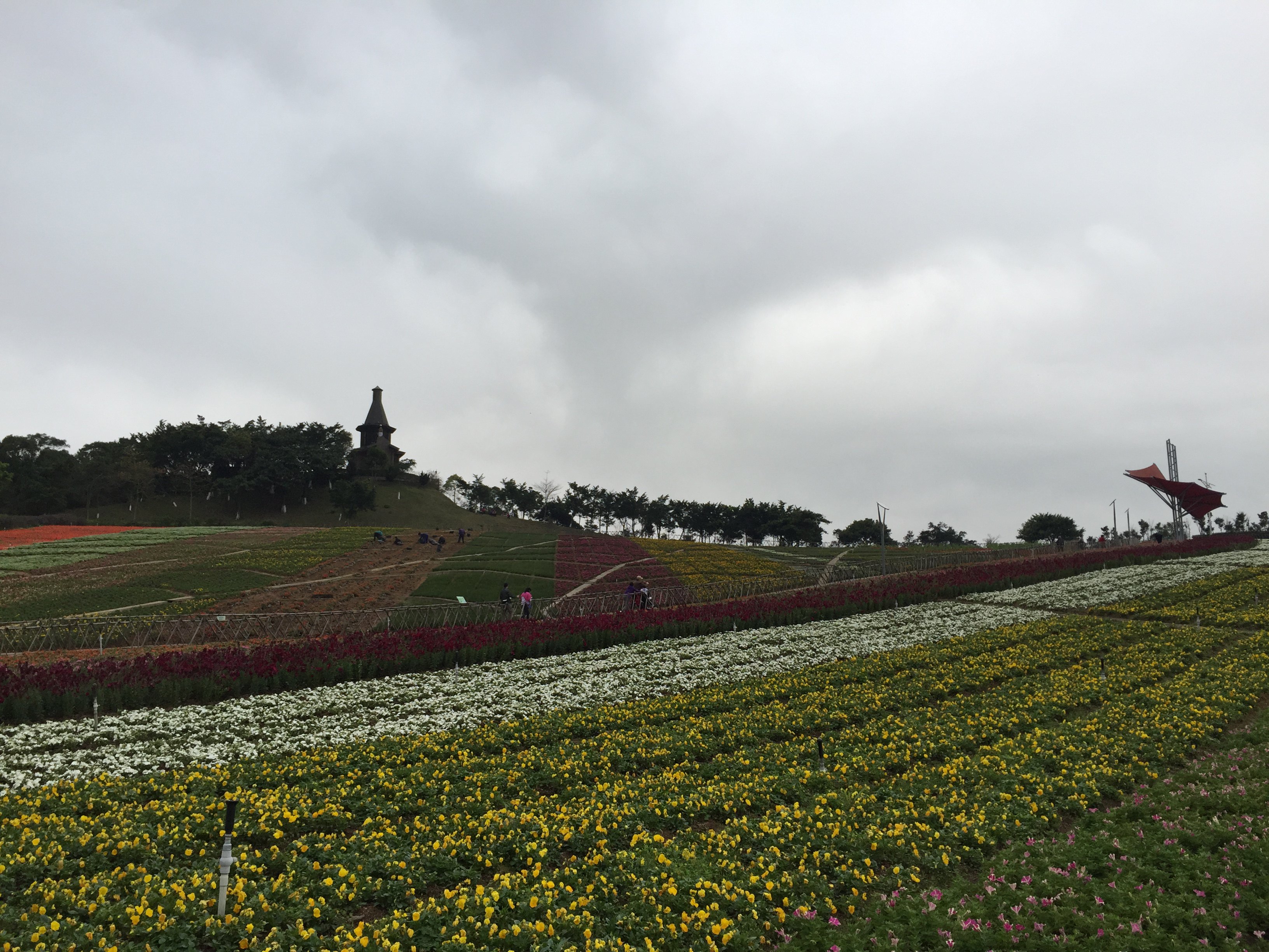 【攜程攻略】深圳東部華僑城茶溪谷適合朋友出遊旅遊嗎,東部華僑城茶