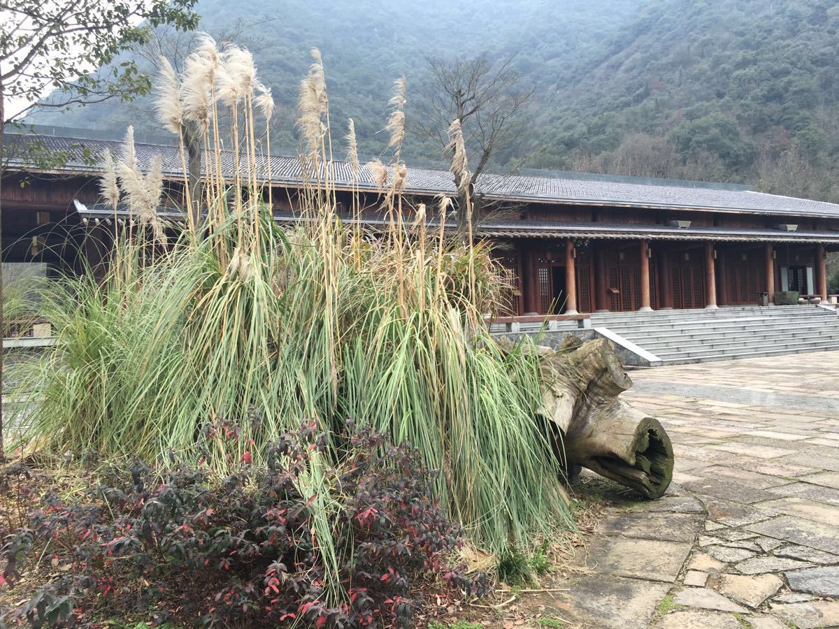 2019黃公望隱居地_旅遊攻略_門票_地址_遊記點評,富陽旅遊景點推薦