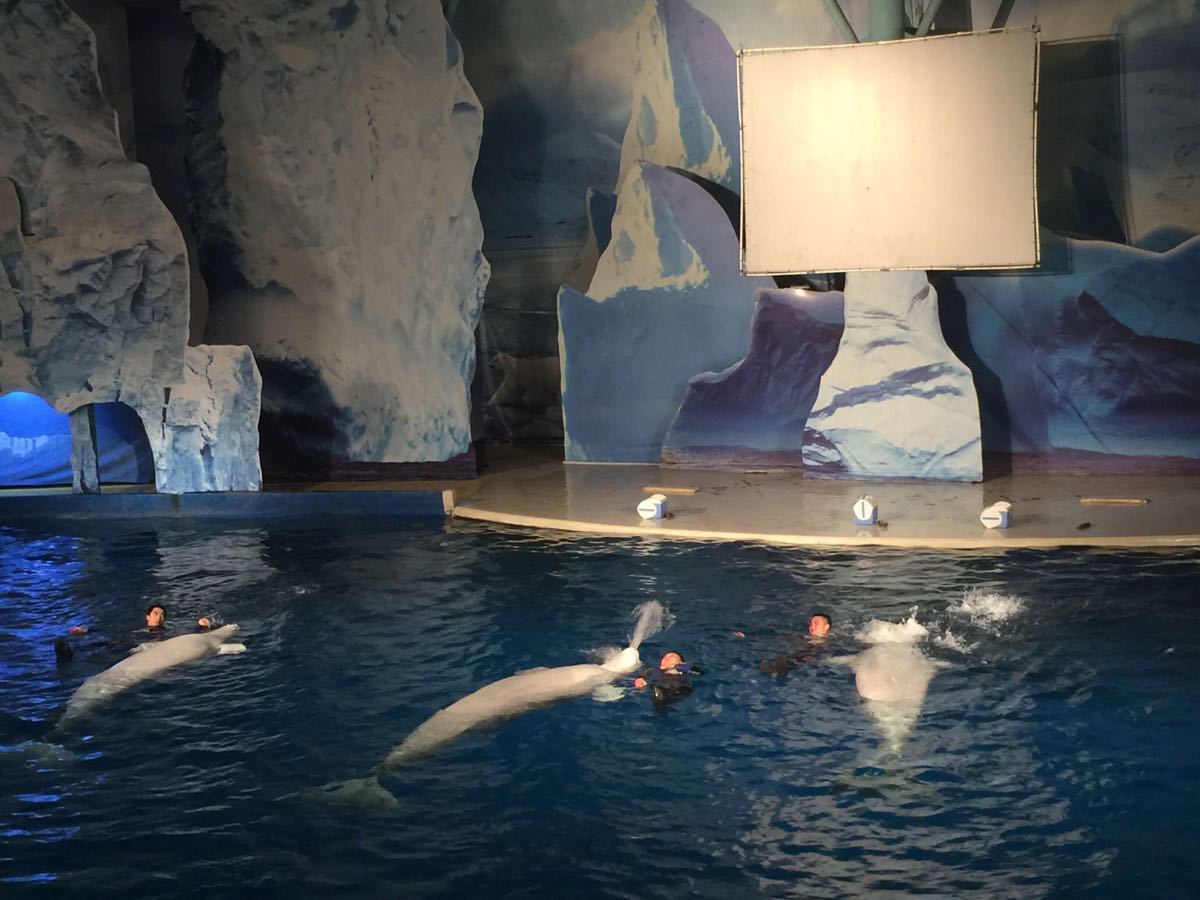 上海长风海洋世界