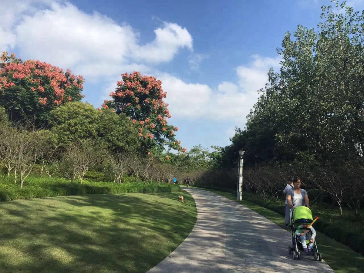 2019閔行體育公園_旅遊攻略_門票_地址_遊記點評,上海旅遊景點推薦