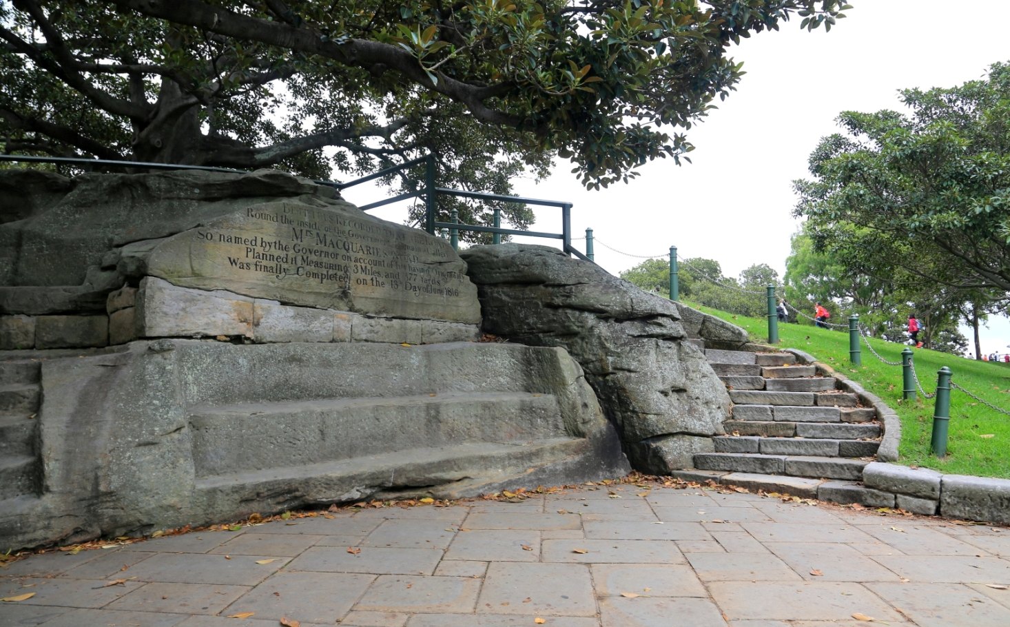 麦考利夫人座椅