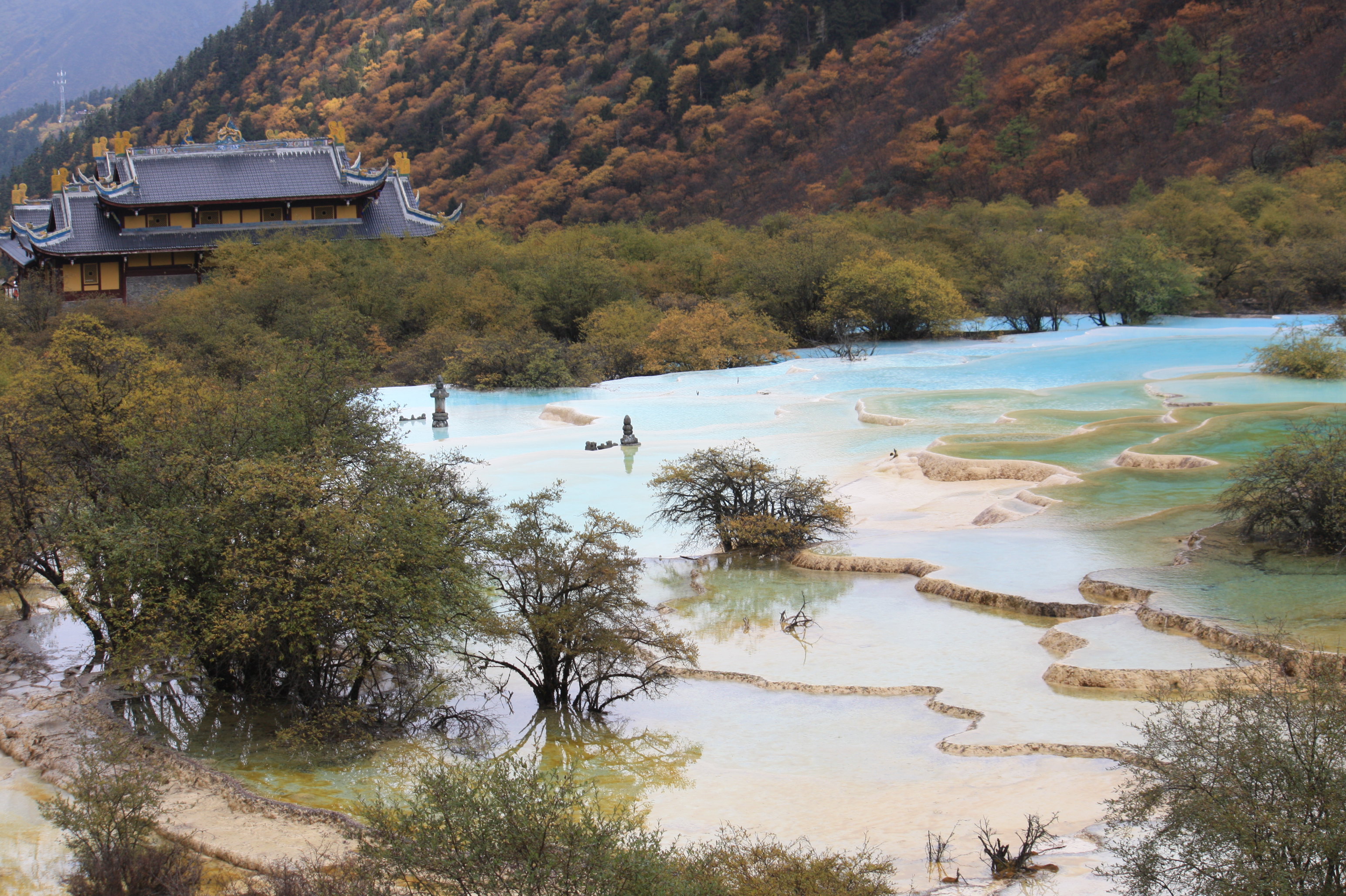 2020黄龙五彩池-旅游攻略-门票-地址-问答-游记点评,黄龙风景名胜区