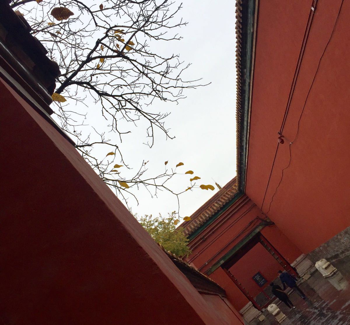 【携程攻略】北京故宫景点,初雪之后的故宫,红墙青砖,静谧地染着淡淡