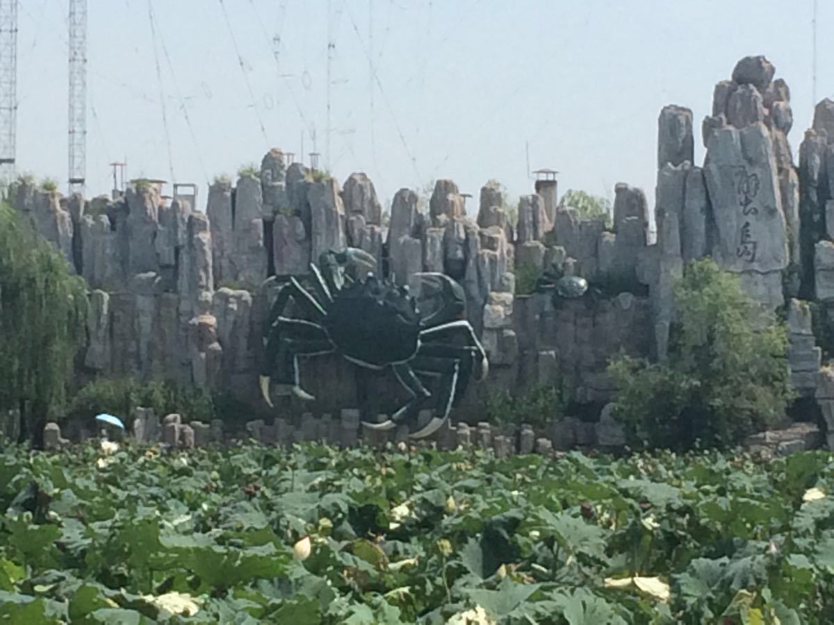 北京蟹岛绿色生态度假村-航天国旅