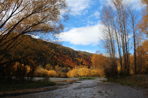 新西兰4月十六天秋季五彩自驾之旅(部分公共交