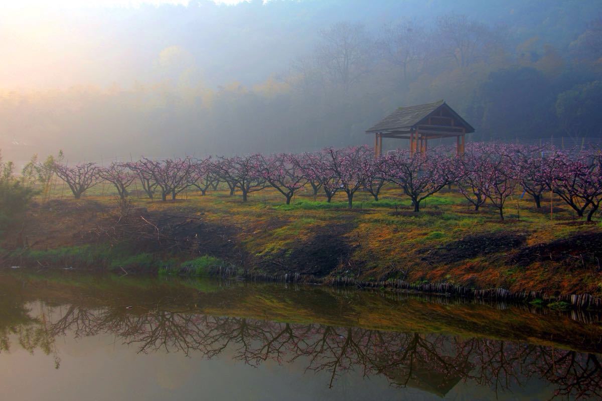 无锡阳山桃花源景区