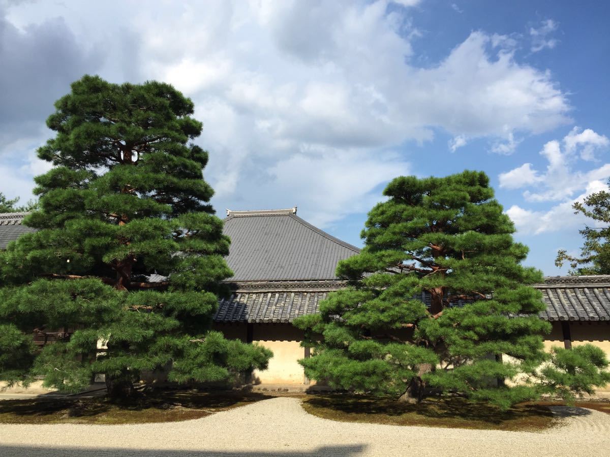 携程攻略 京都天龙寺景点 曹源池庭园很美 也是世界文化遗产 坐在走廊上看庭园 山水树木小鸟