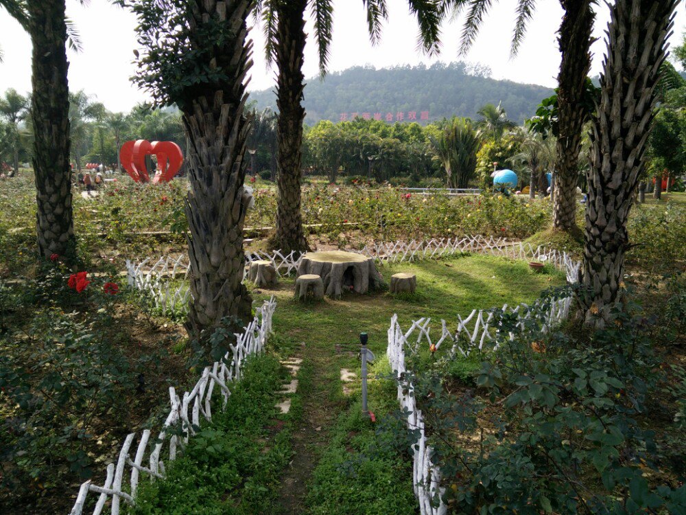 漳州東南花都