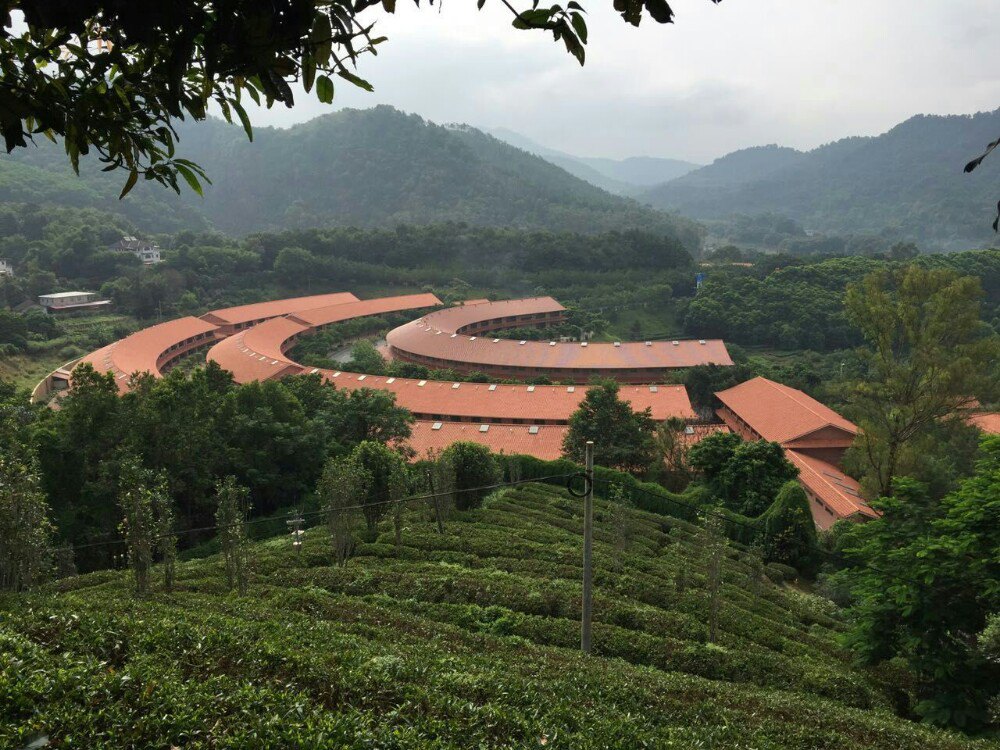 雁南飞茶田度假区