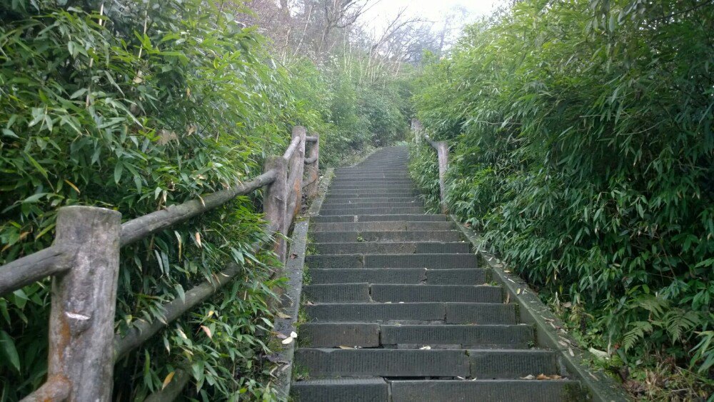 峨眉山九岭岗旅饭店