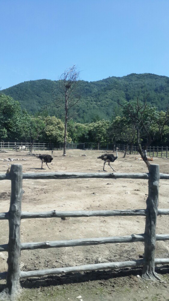 秦嶺野生動物園