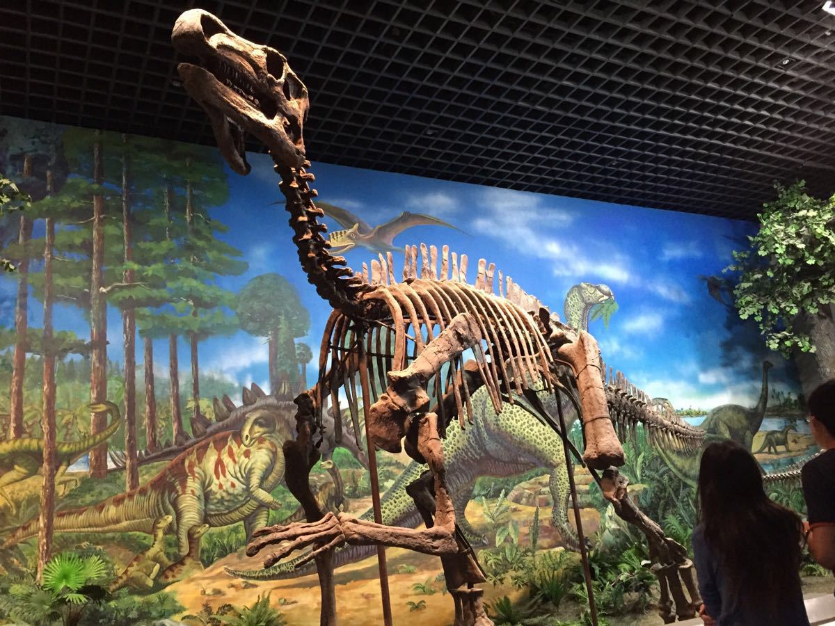 呼和浩特白塔国际机场