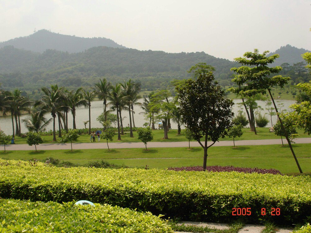 大夫山森林公園旅遊景點攻略圖