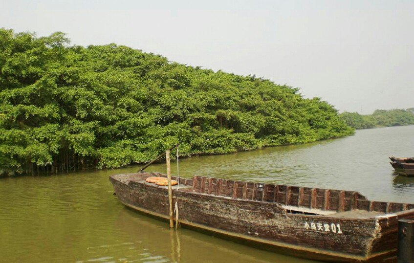 天目湖小鸟天堂图片