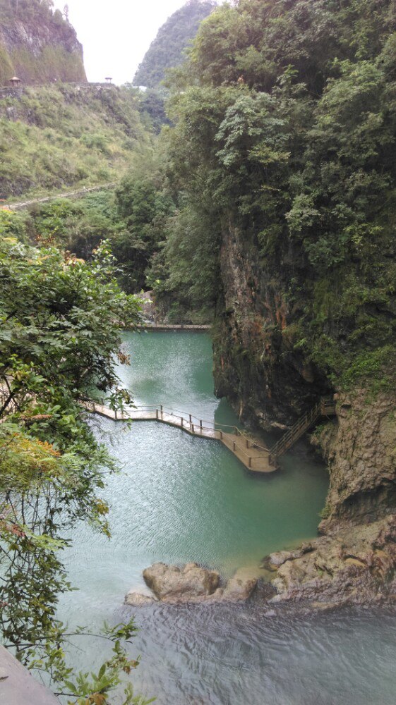 綏陽紅果樹好玩嗎,綏陽紅果樹景點怎麼樣_點評_評價【攜程攻略】