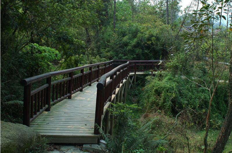 【攜程攻略】廈門天竺山森林公園好玩嗎,廈門天竺山森林公園景點怎麼