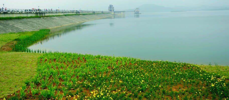 阳羡湖深氧公园图片