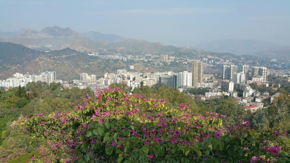 攀枝花虽说是旅游城市,但主要特色是日照充足,对于四川盆地冬季潮湿多