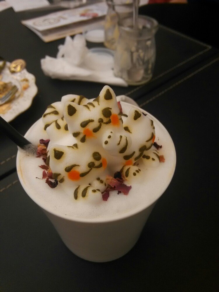 咕噜咕噜猫咖啡