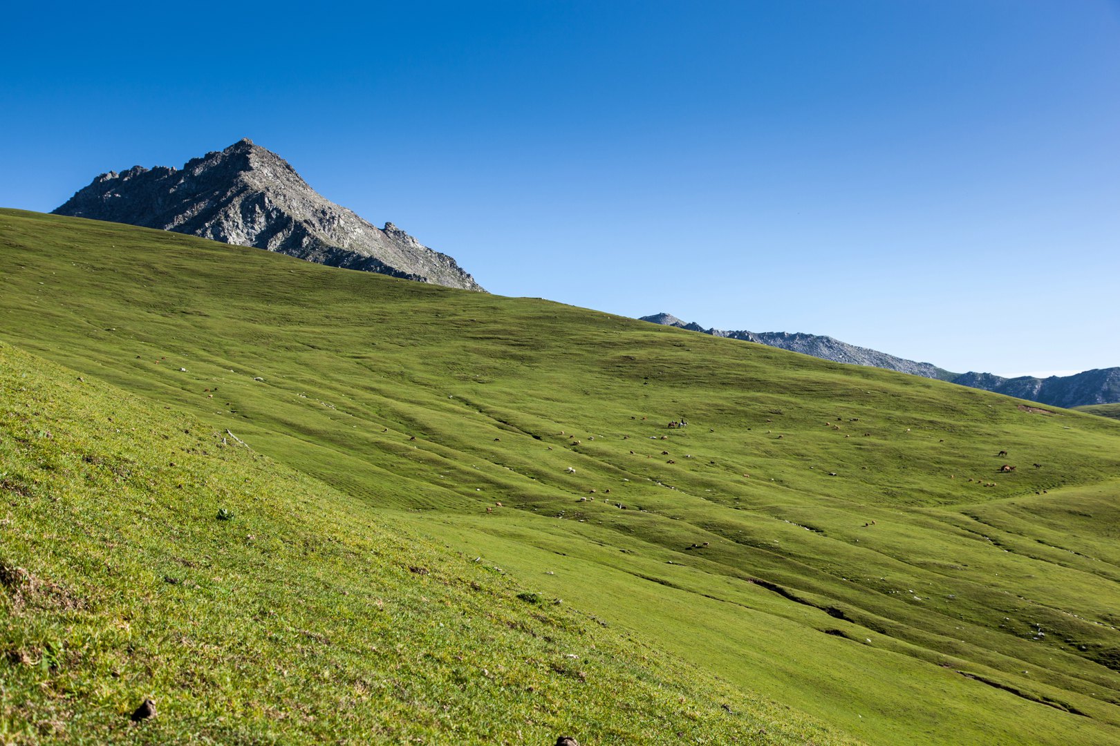 直飞伊犁,享受天山河谷-世界级景观