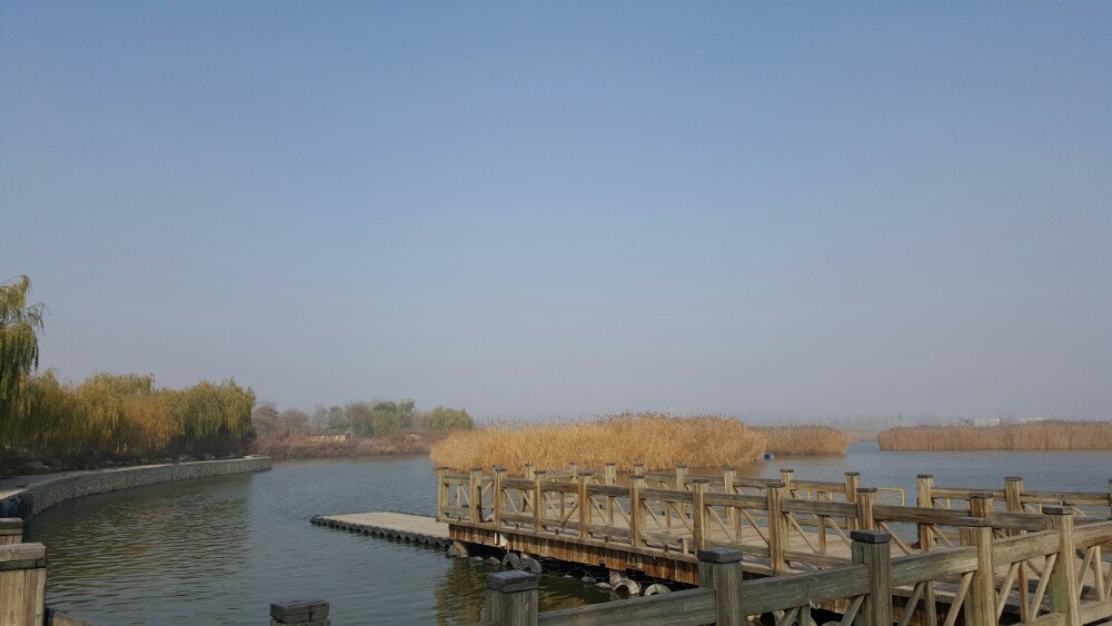 銀川鳴翠湖國家溼地公園旅遊景點攻略圖