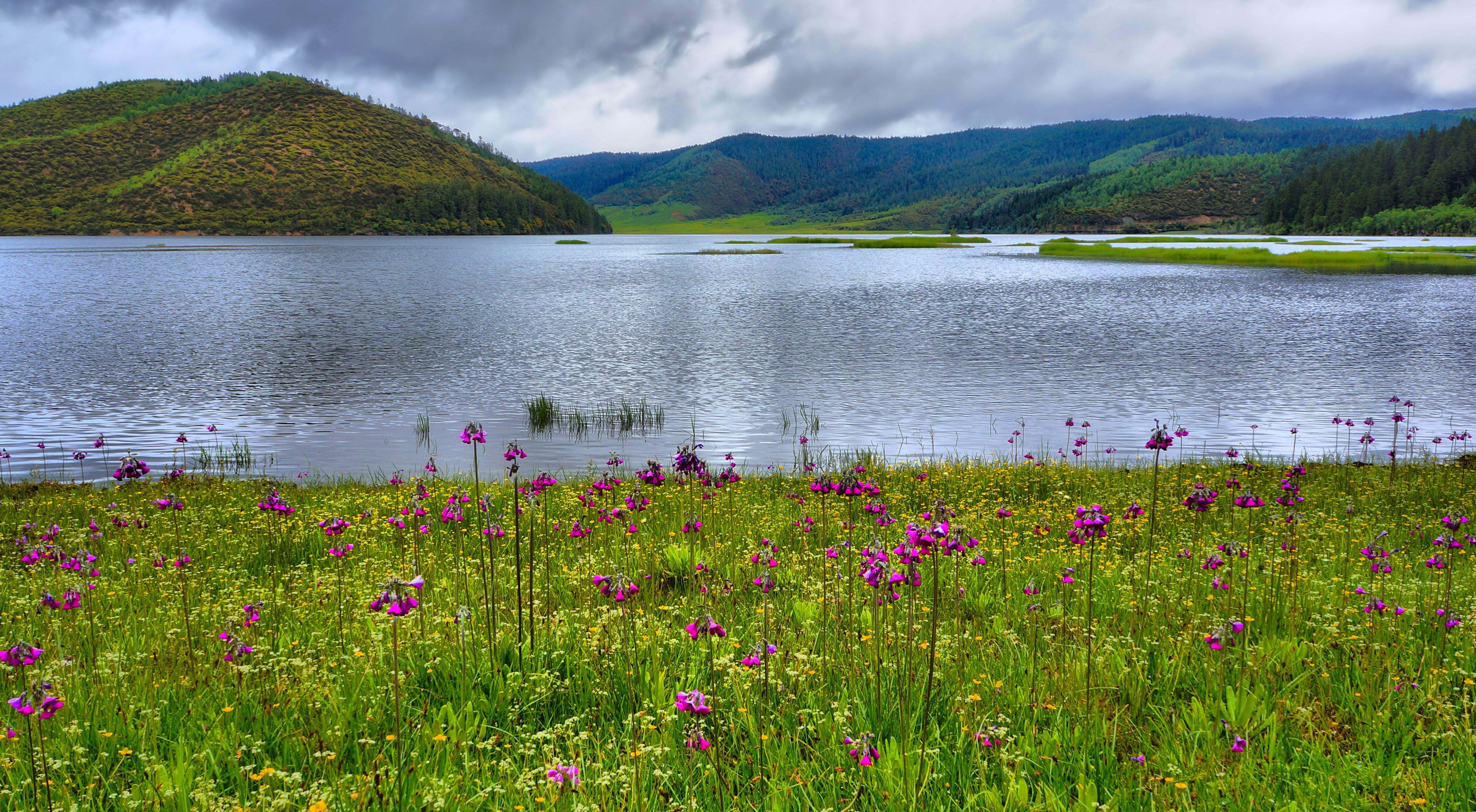 2019属都湖_旅游攻略_门票_地址_游记点评,香格里拉旅游景点推荐 - 去