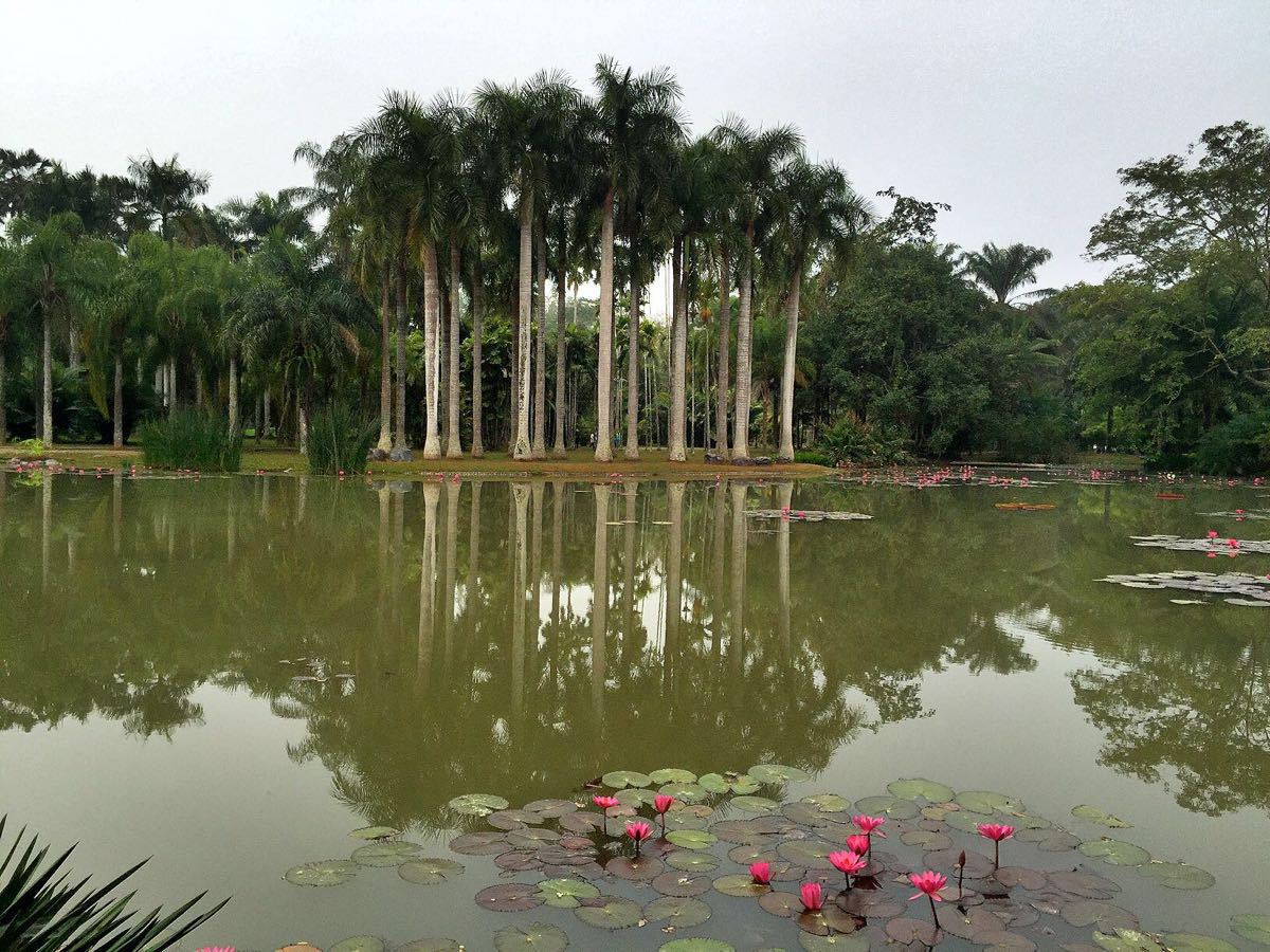 中科院西雙版納熱帶植物園