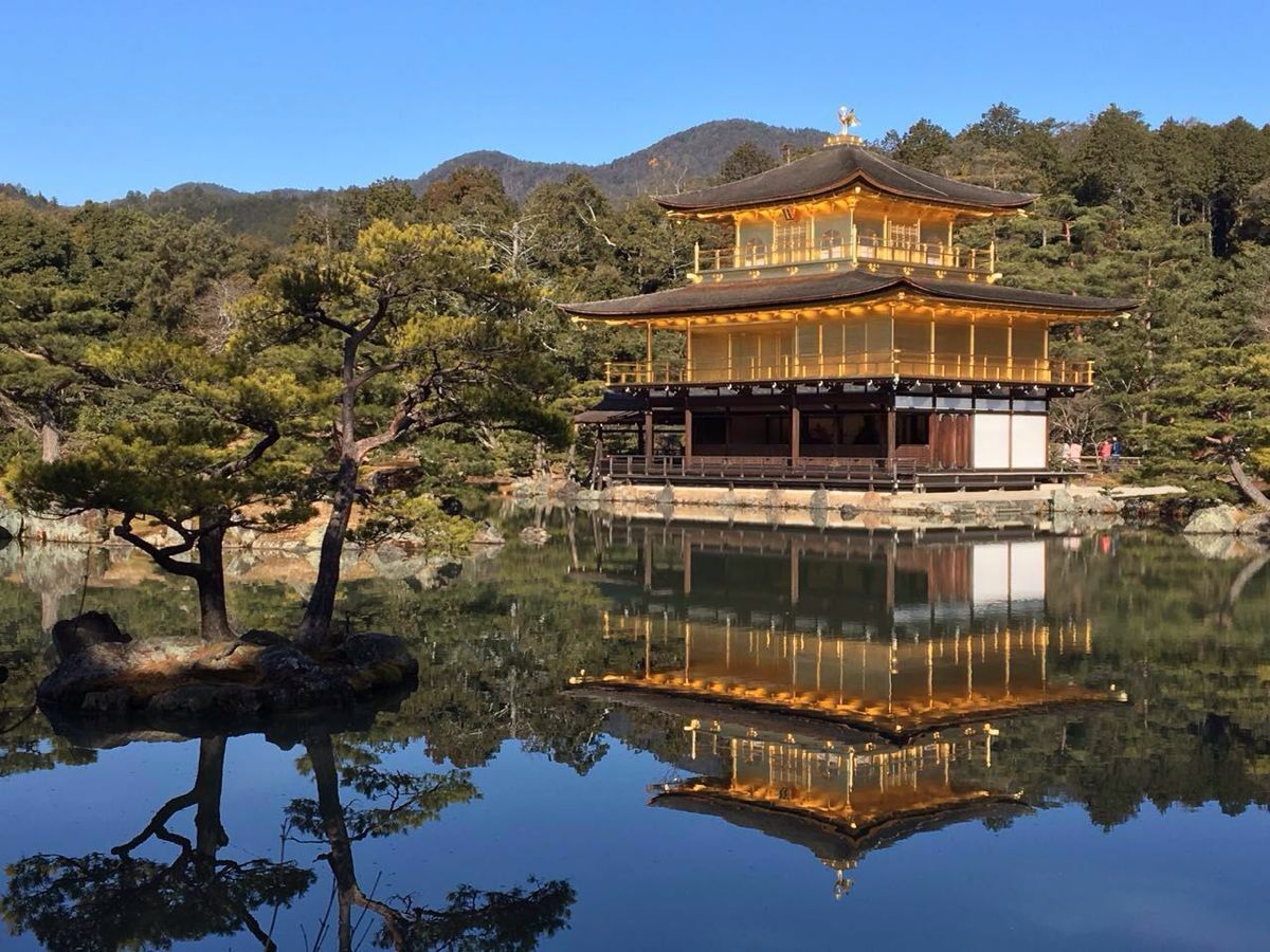 【攜程攻略】近畿地方金閣寺景點,金閣寺-銀閣寺-清水寺,4小時.