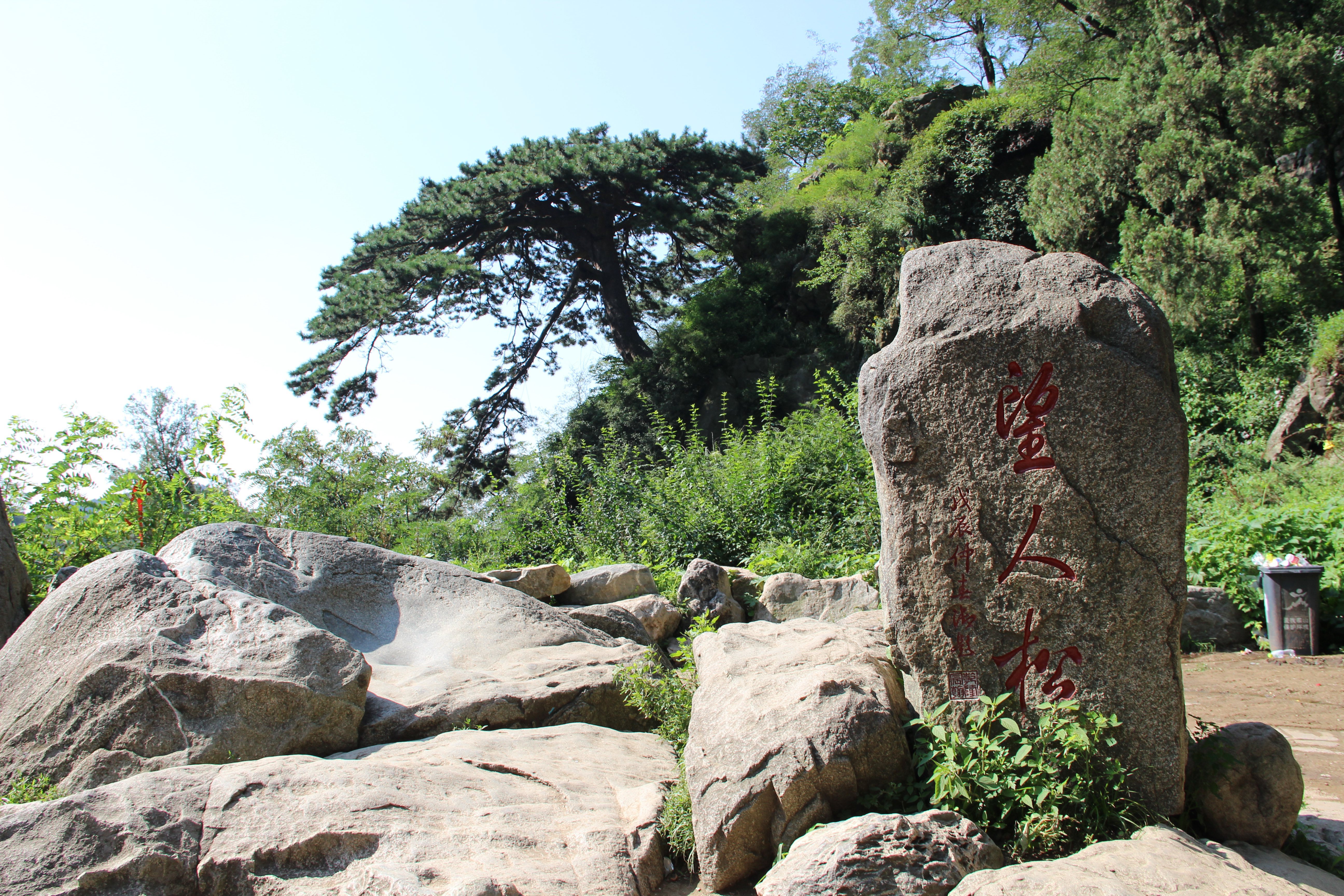 从五大夫松再前行,路左可见泰山的迎客松