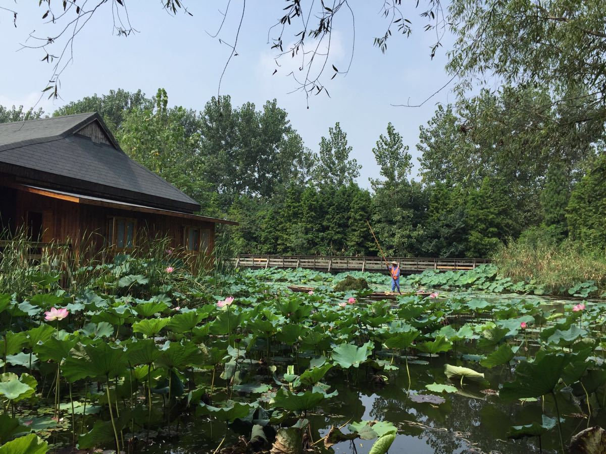 溱湖國家溼地公園