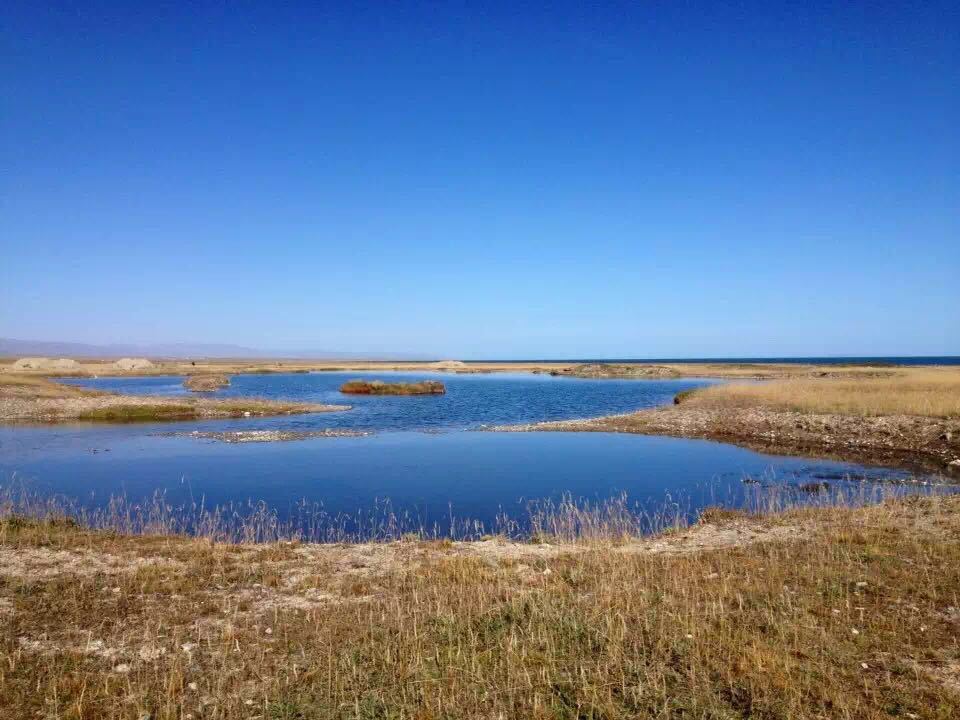 【攜程攻略】青海青海湖景點,有一青色海,名曰措溫布.