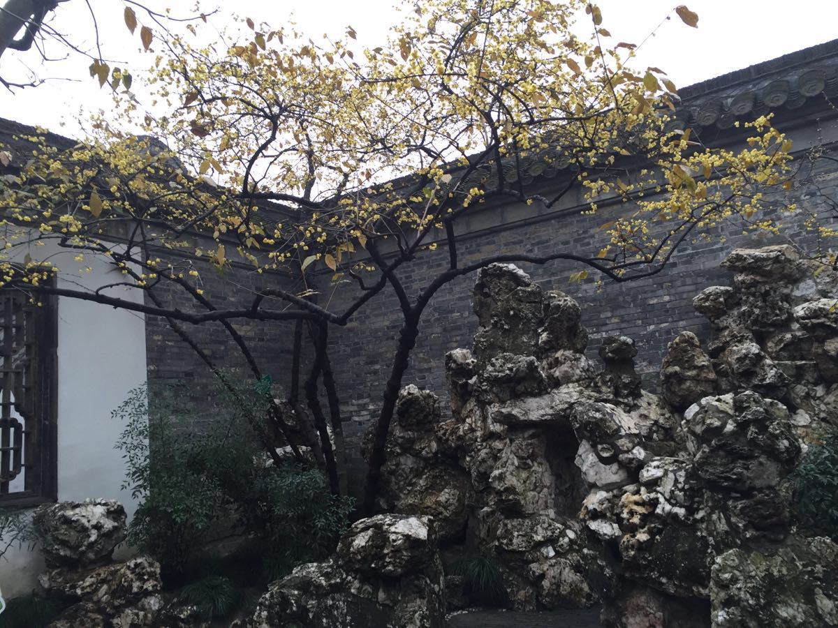 【携程攻略】江苏扬州个园好玩吗,江苏个园景点怎麼样_点评_评价