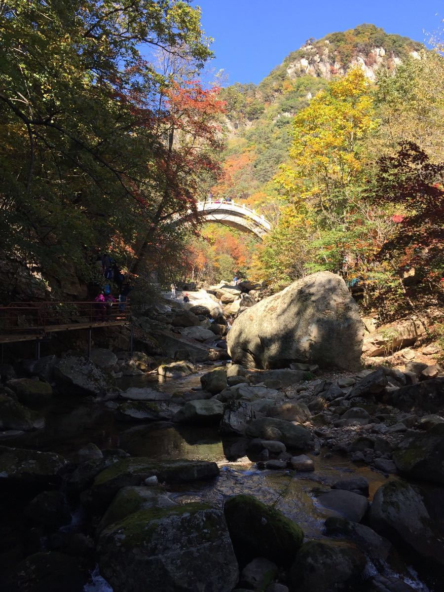 天桥沟森林公园