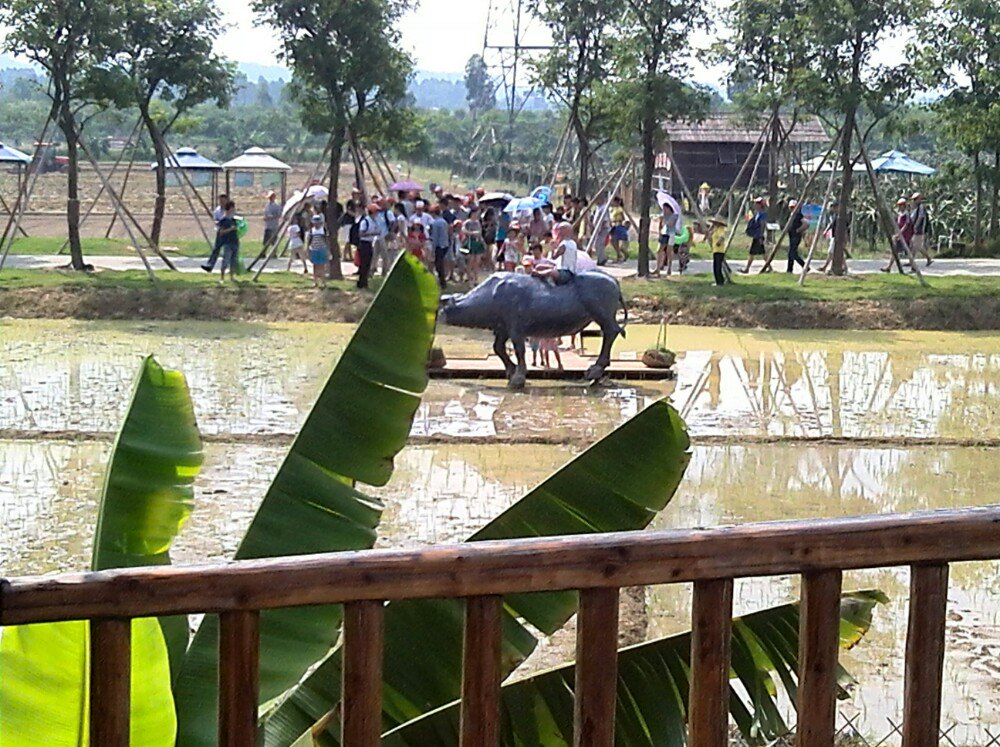 高明盈香生態園