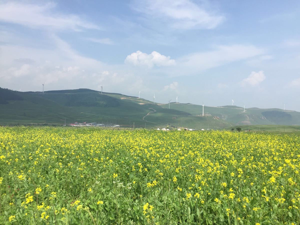 2019飞狐峪·空中草原_旅游攻略_门票_地址_游记点评,蔚县旅游景点