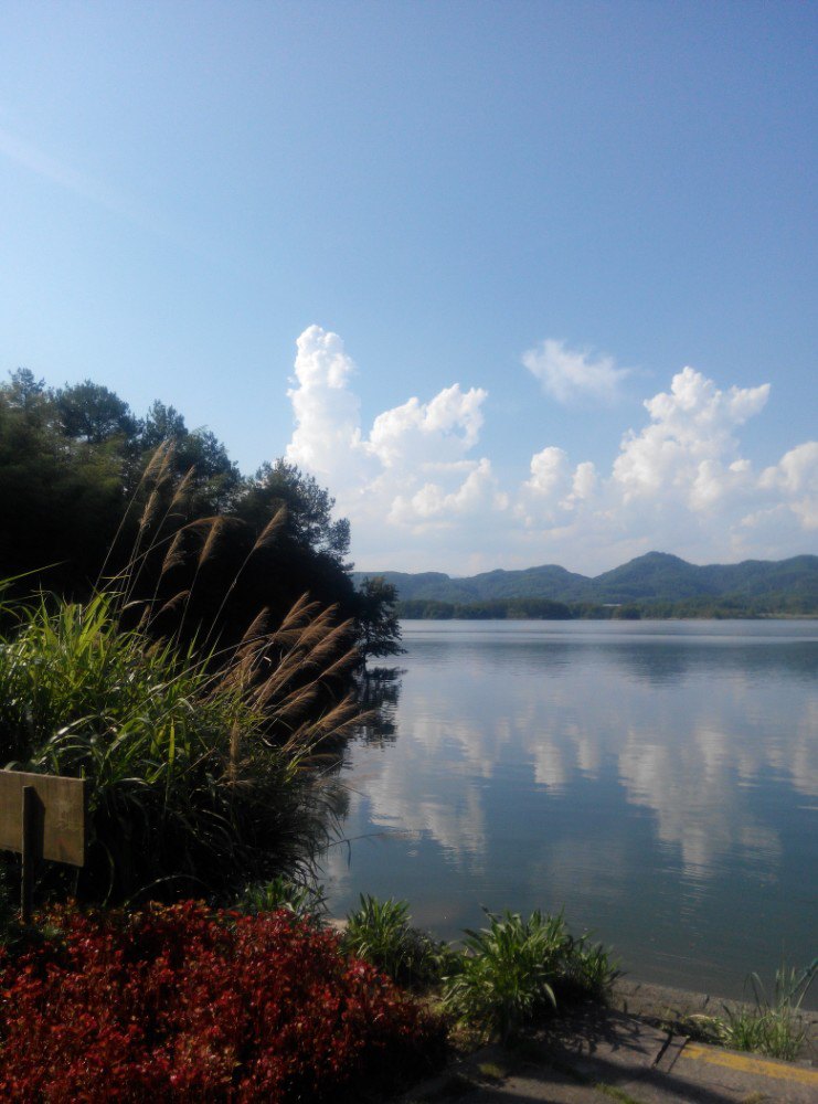 千島湖龍川灣旅遊景點攻略圖