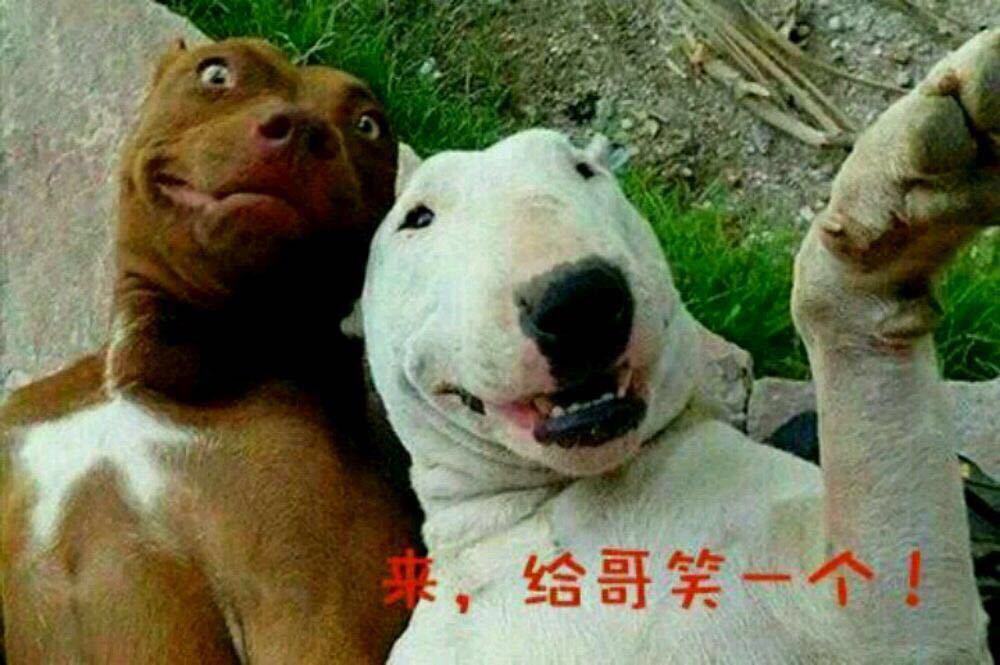 阳光这个城市真的是挺好的我们下班后才过来的当地的人民非常热情希望