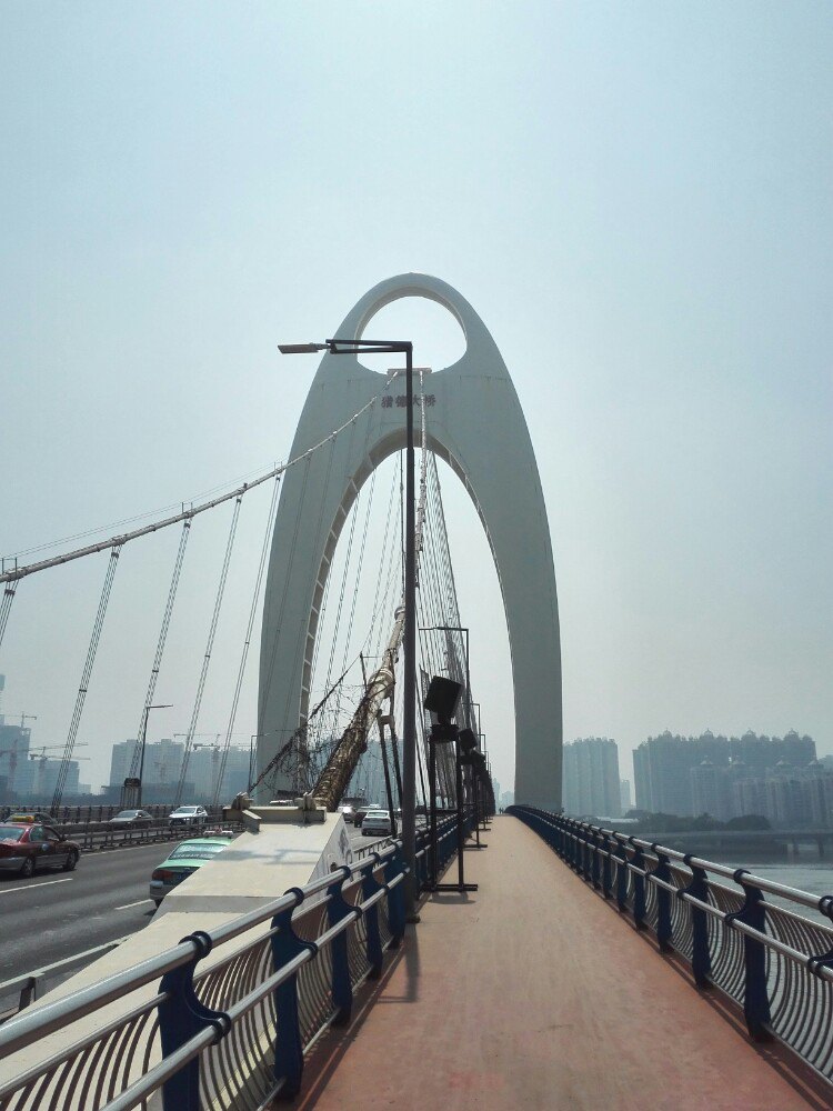 2019獵德大橋_旅遊攻略_門票_地址_遊記點評,廣州旅遊景點推薦 - 去哪