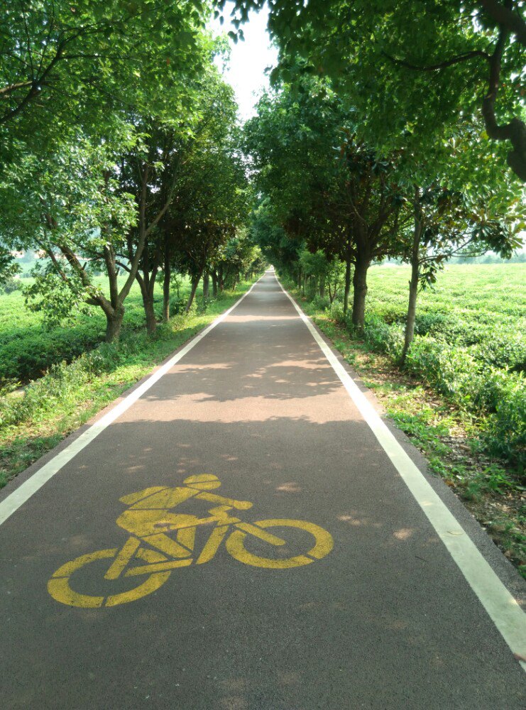 龙池山自行车公园图片